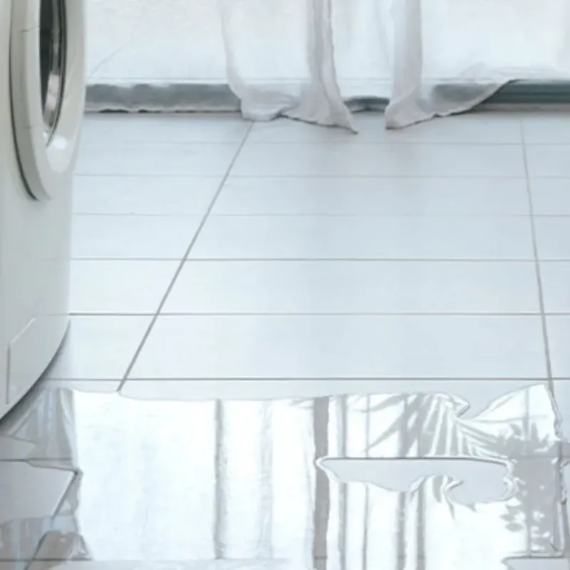 Appliance Leak Cleanup in Seymour, WI