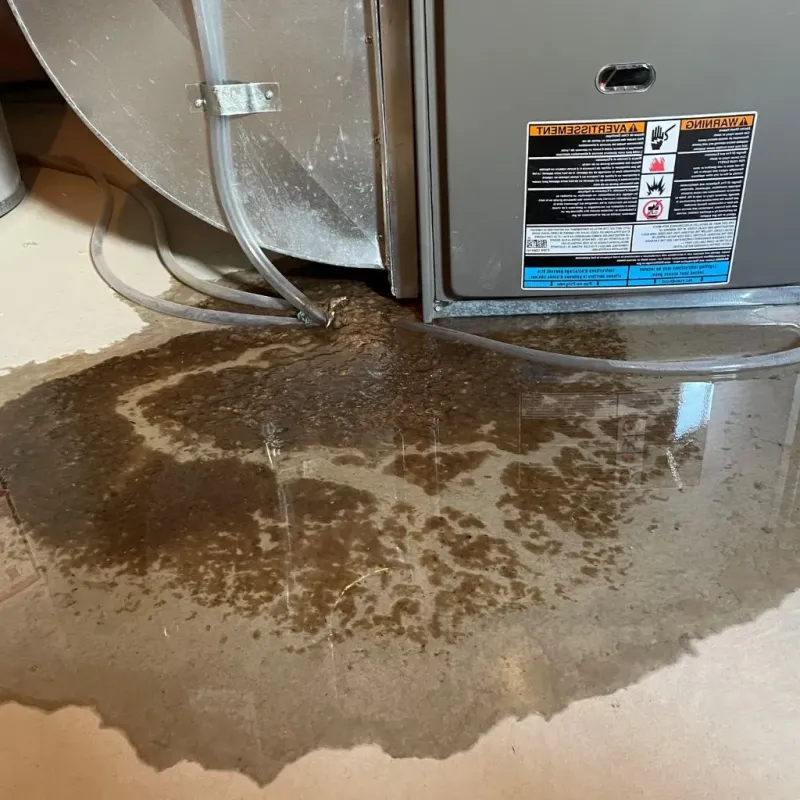 Pipe Burst and Leak Restoration in Seymour, WI
